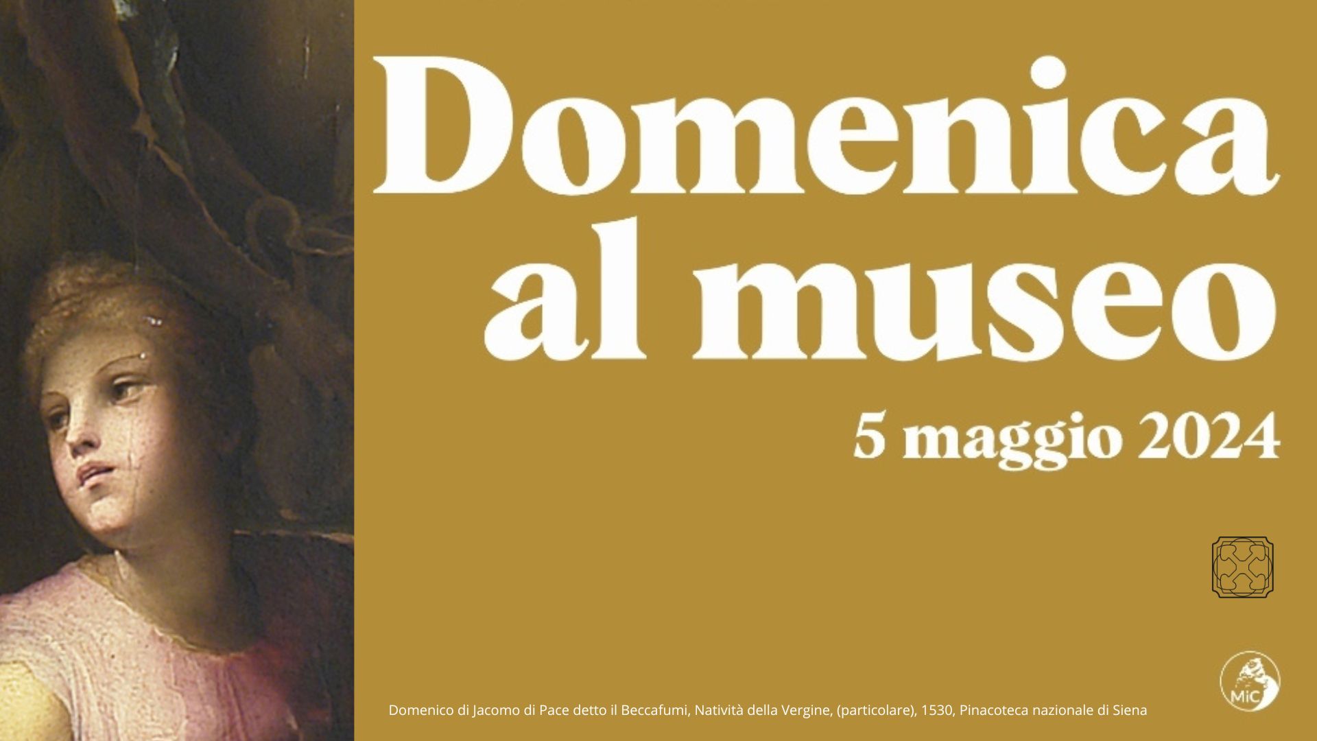 5 maggio 2024: "Domenica al museo"